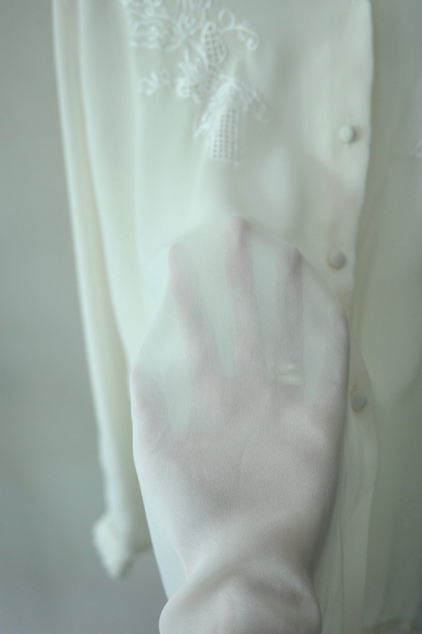 vintage sheer blouse