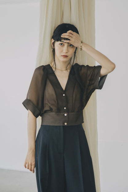 【A PUPIL shimmer別注】georgette blouse (brown)