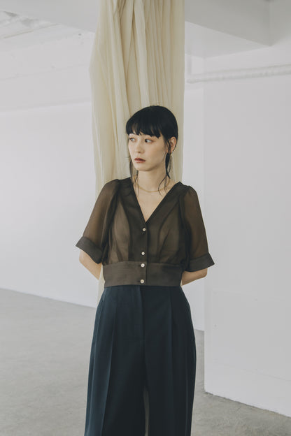 【A PUPIL shimmer別注】georgette blouse (brown)