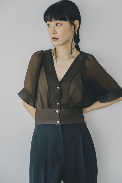 【A PUPIL shimmer別注】georgette blouse (brown)